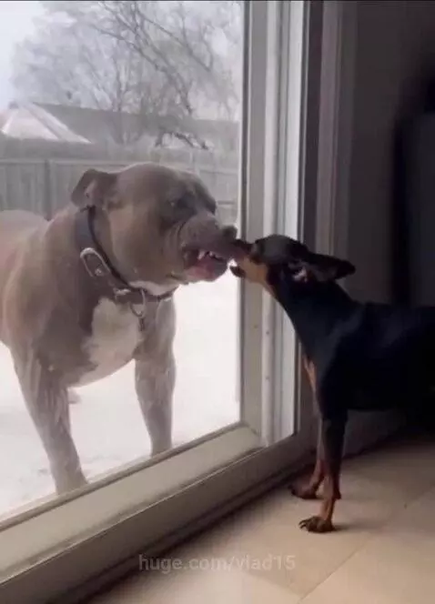 showed off too much)) by vlad15