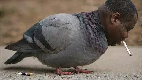 Don't smoke if you don't want to become like that. by vlad15