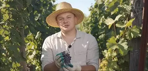 виноград 2 by kok