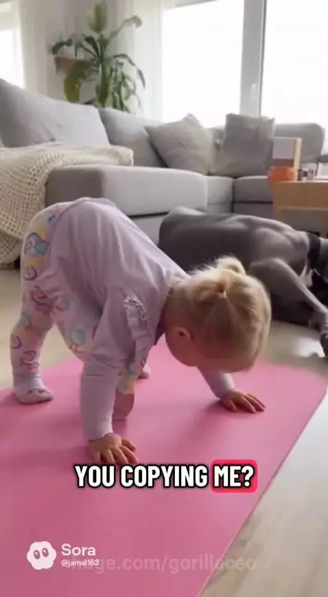 Bonnie & Cane Yoga Day by gorillaceo