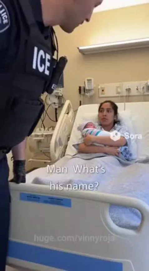 Why is he getting deported😭😂 by vinnyroja