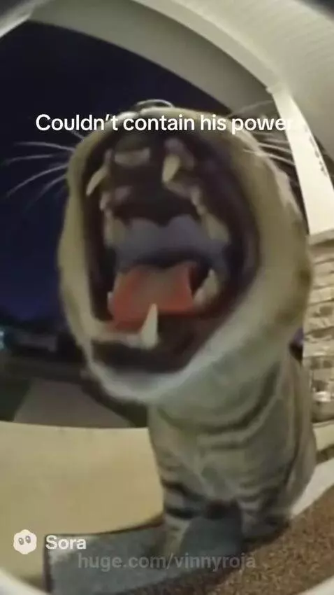 Boom😭😭….. granny didn't see that coming by vinnyroja