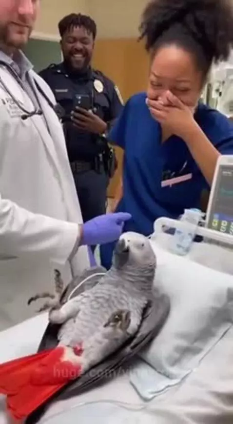 All cracks me up😭 by vinnyroja