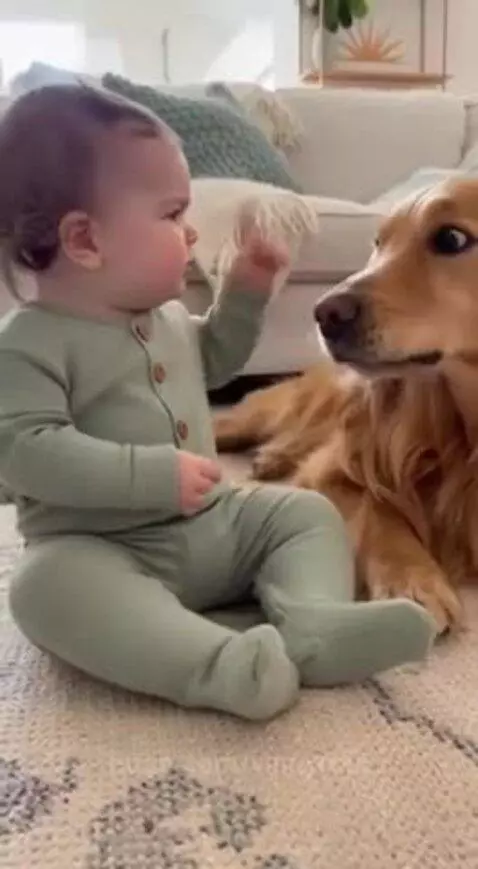 He had to make a phone call😂 by vinnyroja