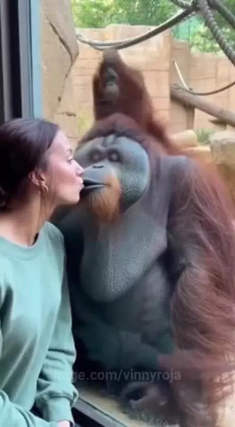 She was like leave my man alone😂😂 by vinnyroja