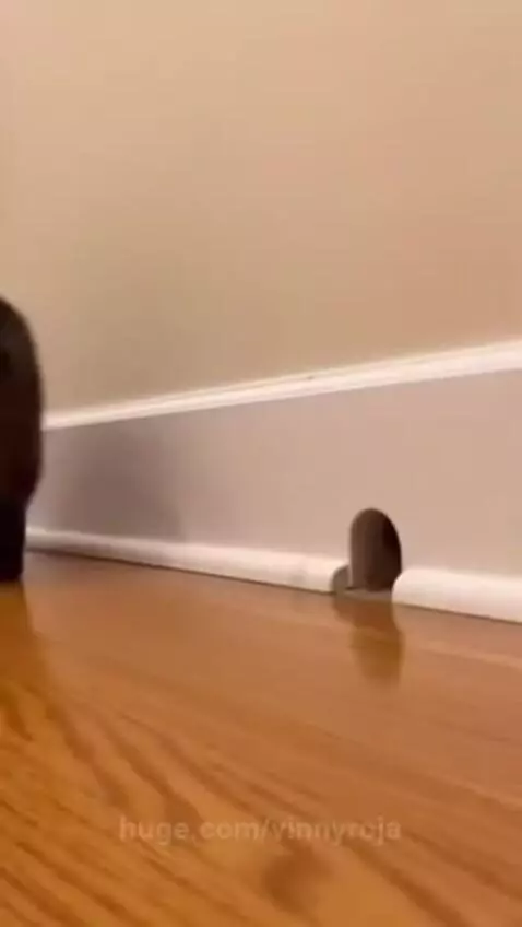 Brrrr😭😭 by vinnyroja