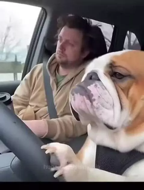 This gets me everytime 😭😭 by vinnyroja