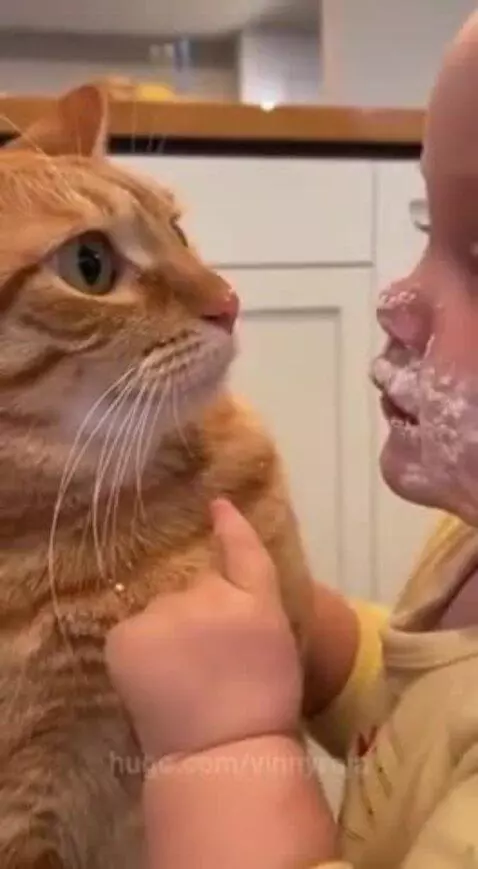 No new mew at him😂😂 by vinnyroja