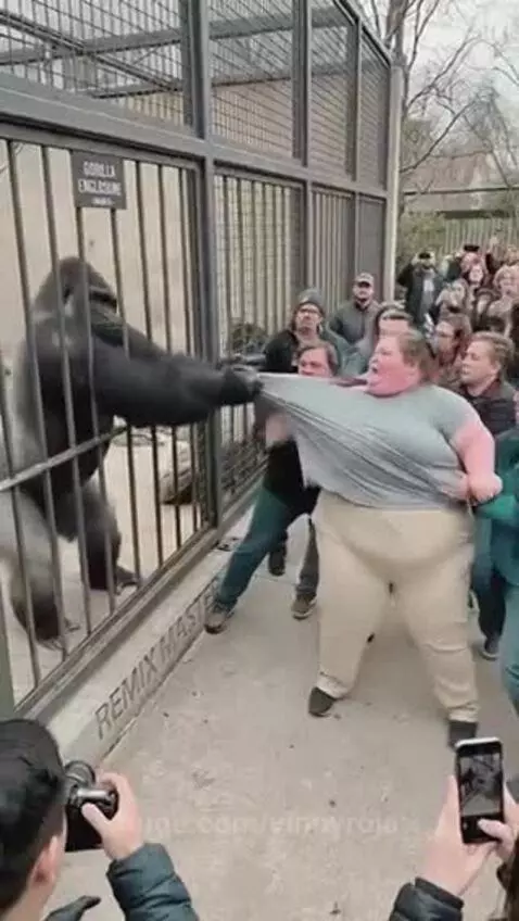 What’s going on here?? by vinnyroja