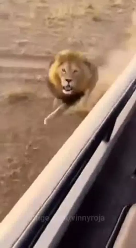 What just happened😭😂😂 by vinnyroja