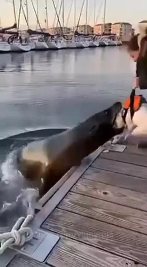 Omg 😱…. was it saved? by vinnyroja