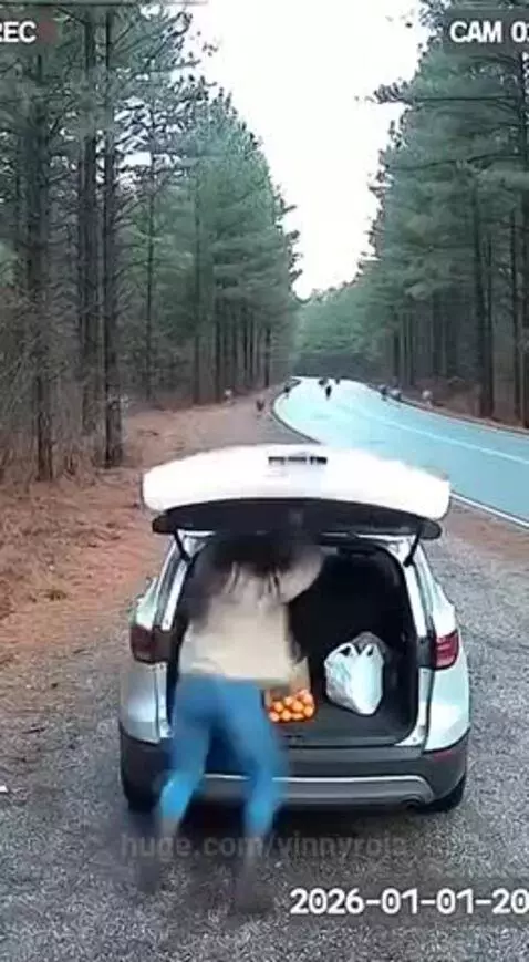 Damn that was so close😶 by vinnyroja