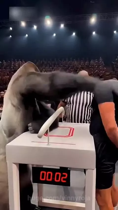 He was like I barely hit him😂😂 by vinnyroja