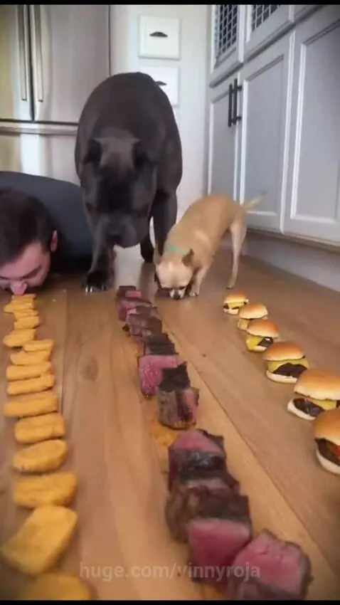 it’s always the short ones😂 by vinnyroja