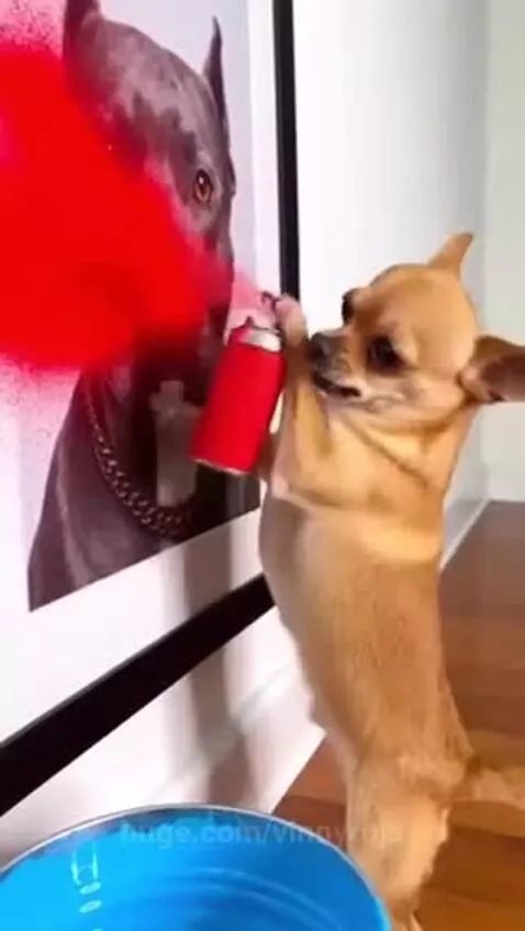 Chihuahua dog spray painting a framed picture of a larger dog, then falling into a blue paint bucket.