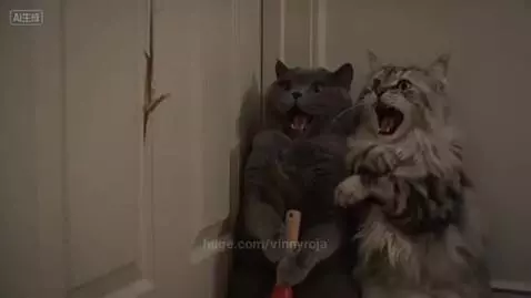 Two cats with wide eyes and open mouths stare at a door being broken by an axe, one cat holds a plunger.