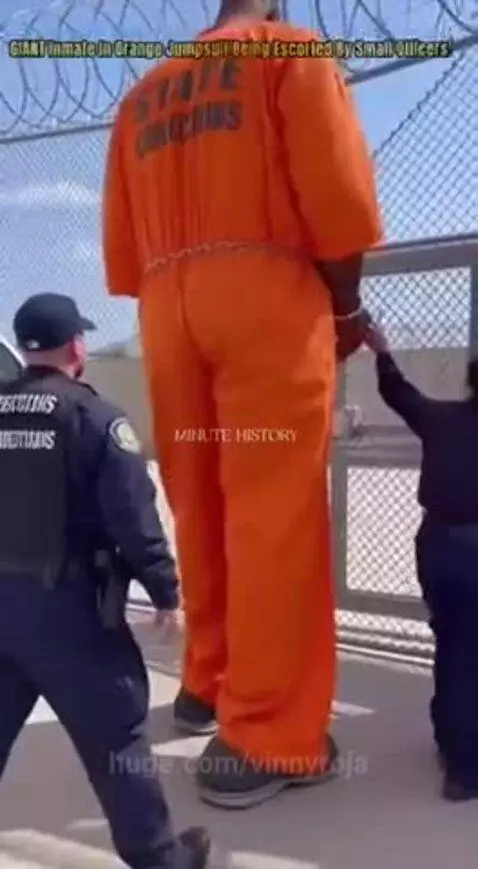 Extremely tall inmate in orange jumpsuit handcuffed, escorted by tiny correctional officers near a fence and vehicle.