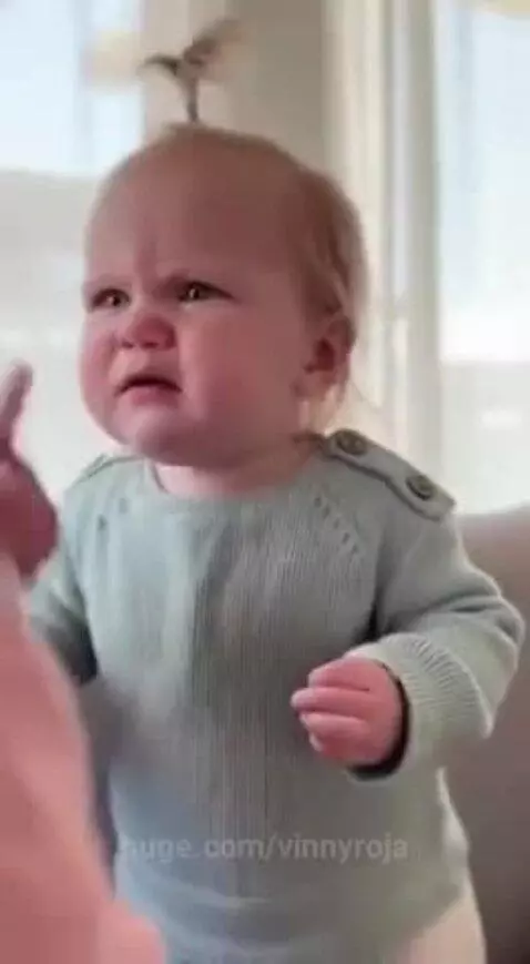 Two blonde twin babies facing each other on a couch, babbling and touching faces, with a cat nearby.