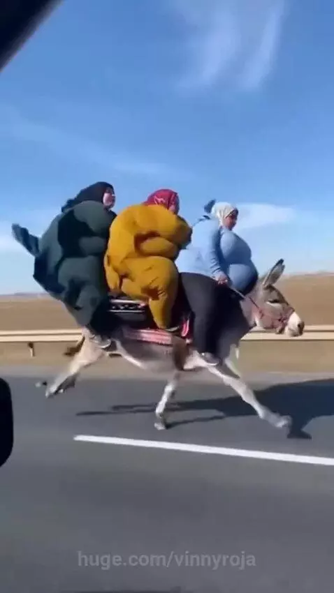 Three women riding a small grey donkey at a fast pace on a paved road.