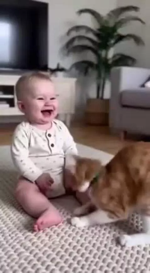 Baby sitting on a rug, laughing heartily as a cat playfully jumps around them.