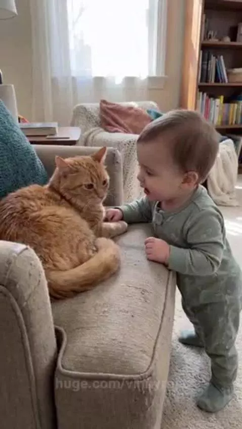 Baby in a green onesie reaching for a tabby cat on a beige armchair in a living room.