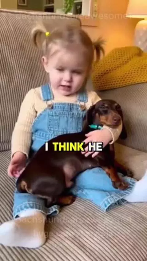 Young child with blonde pigtails sitting on a couch with a dachshund, pinching her nose.