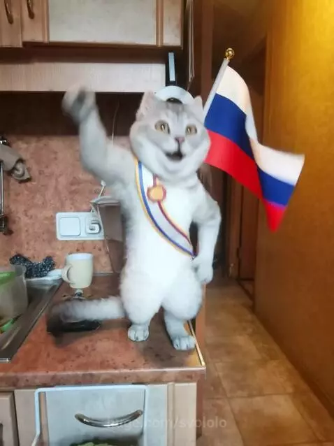 Всегда готов! by svololo