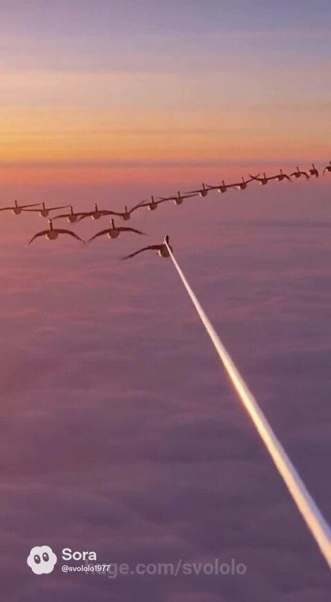 Goose With Engine Goose engine is more environme.. AI Video from Svololo - HUGE