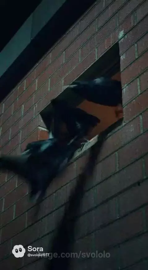 Raven Raid. by svololo