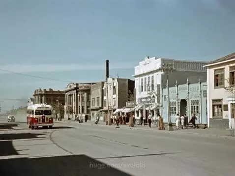 MALFES Project by svololo