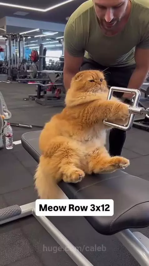 Those words dude, those words! by caleb