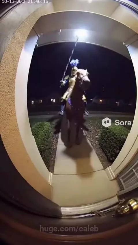 Dude, did you not read the address? by caleb