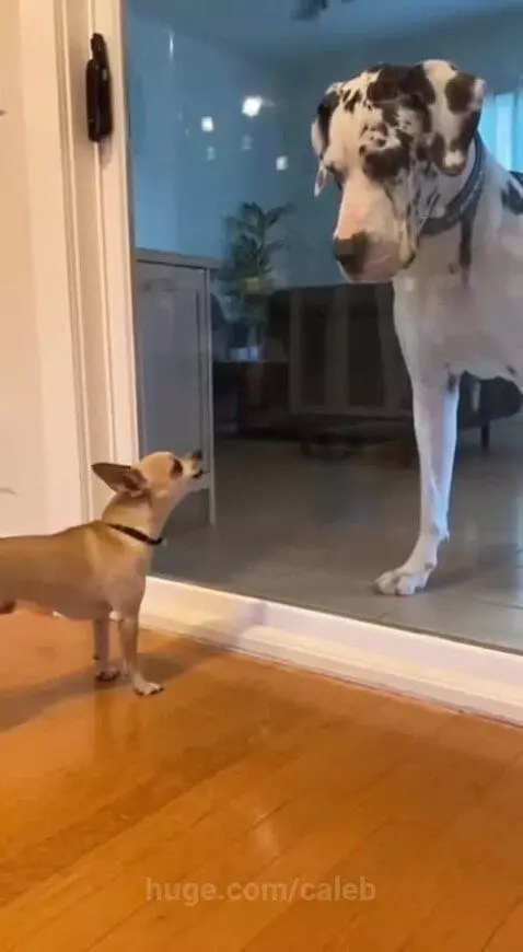 You know what happens otherwise by caleb