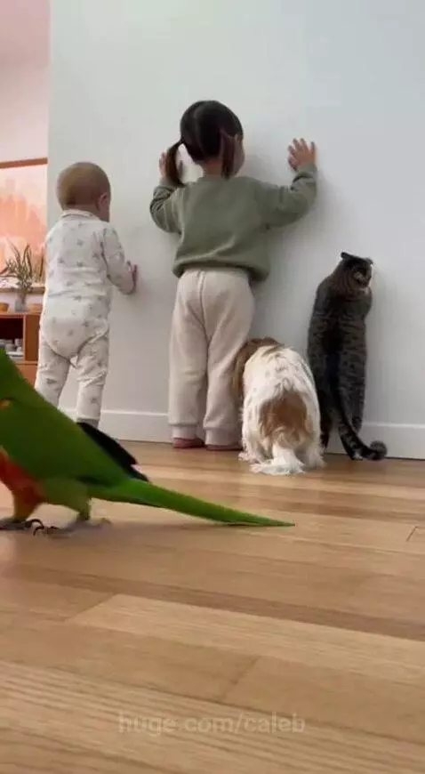 Ain't nobody innocent by caleb