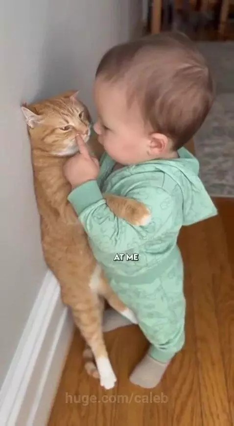 Is that a KO? by caleb