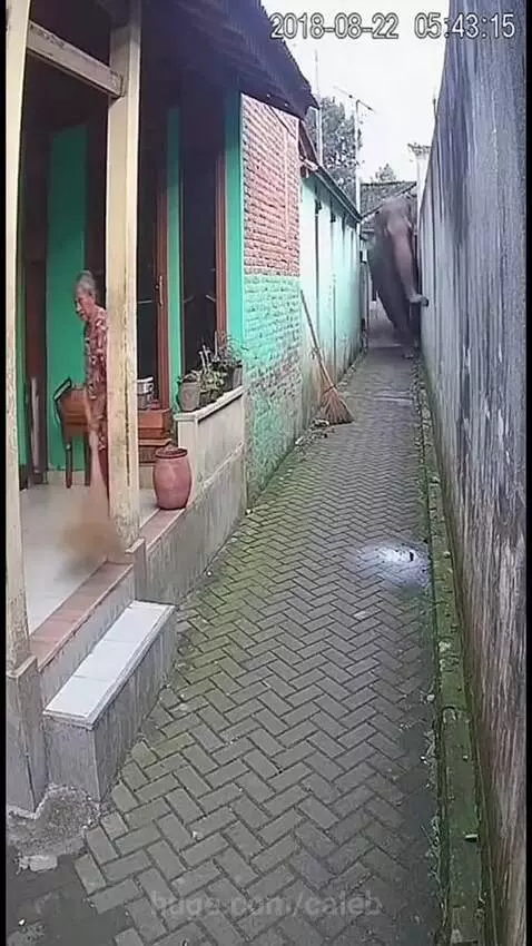 What's going on?? by caleb