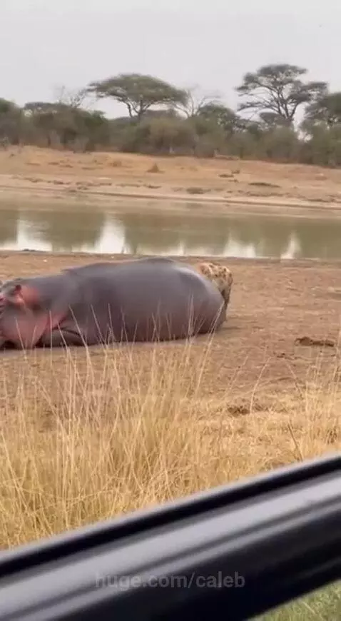 Oops 😂 Sprayed by caleb