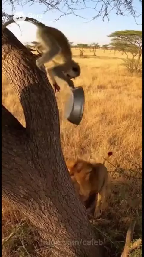 Defend at all cost by caleb