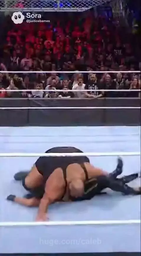 Disaster WWE by caleb