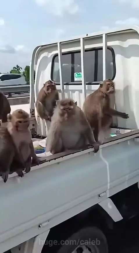 Duty Calls 😂 by caleb