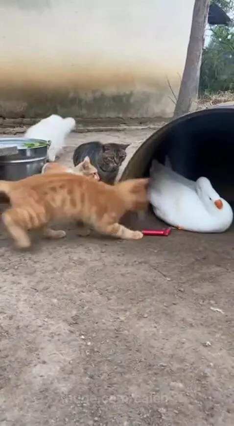 Prank gone hard by caleb