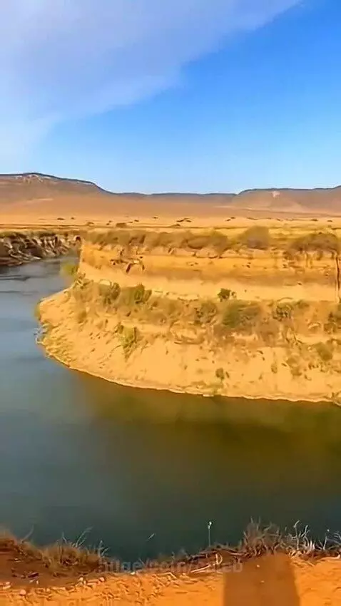 Elephant pushing hyena off cliff into river, bear and crocodile also in water.