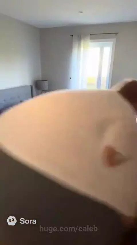 Person in a large white and grey inflatable ball suit navigating a house and rolling in a backyard.