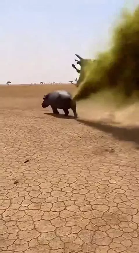 What just happened?? by caleb