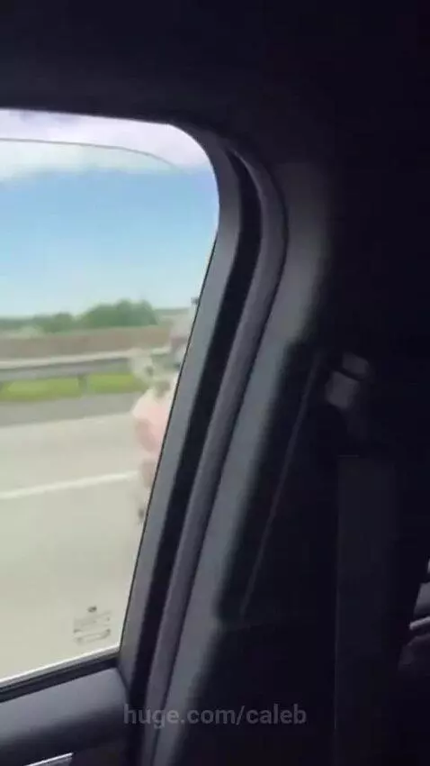 Overweight person in pink top riding a large pink pig on a busy highway, surrounded by cars.