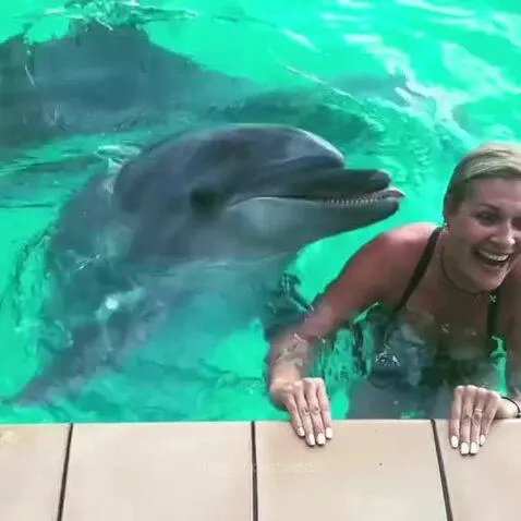 Woman in a swimming pool laughing as a dolphin nuzzles her cheek.
