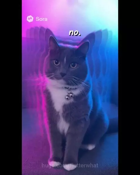 Kyrll Protocol Initialize by flutterwhat