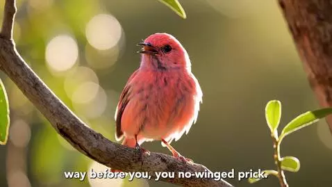 A futuristic device displaying translated bird speech, with birds looking smug and critical.