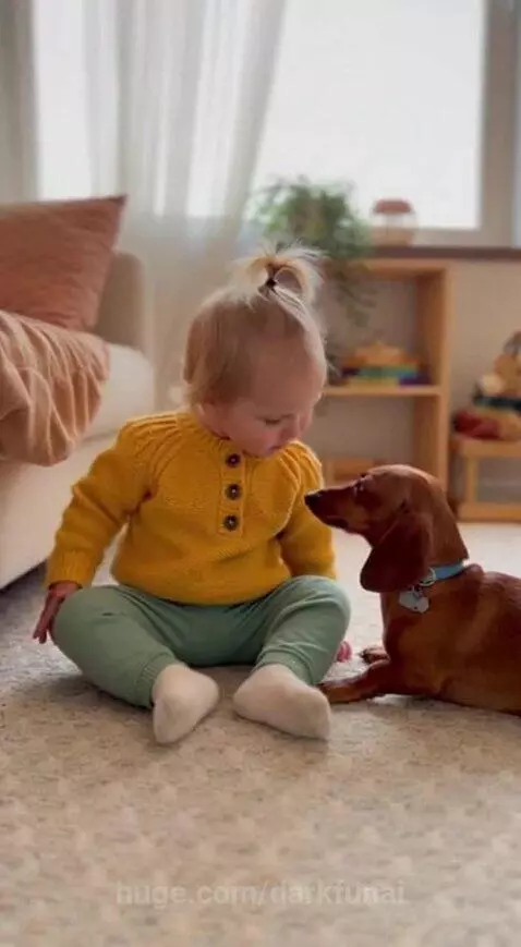 Baby Daschund by darkfunai