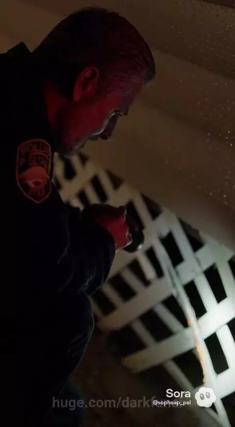 Police officer shines flashlight under a structure at night, revealing a shadowy humanoid creature.